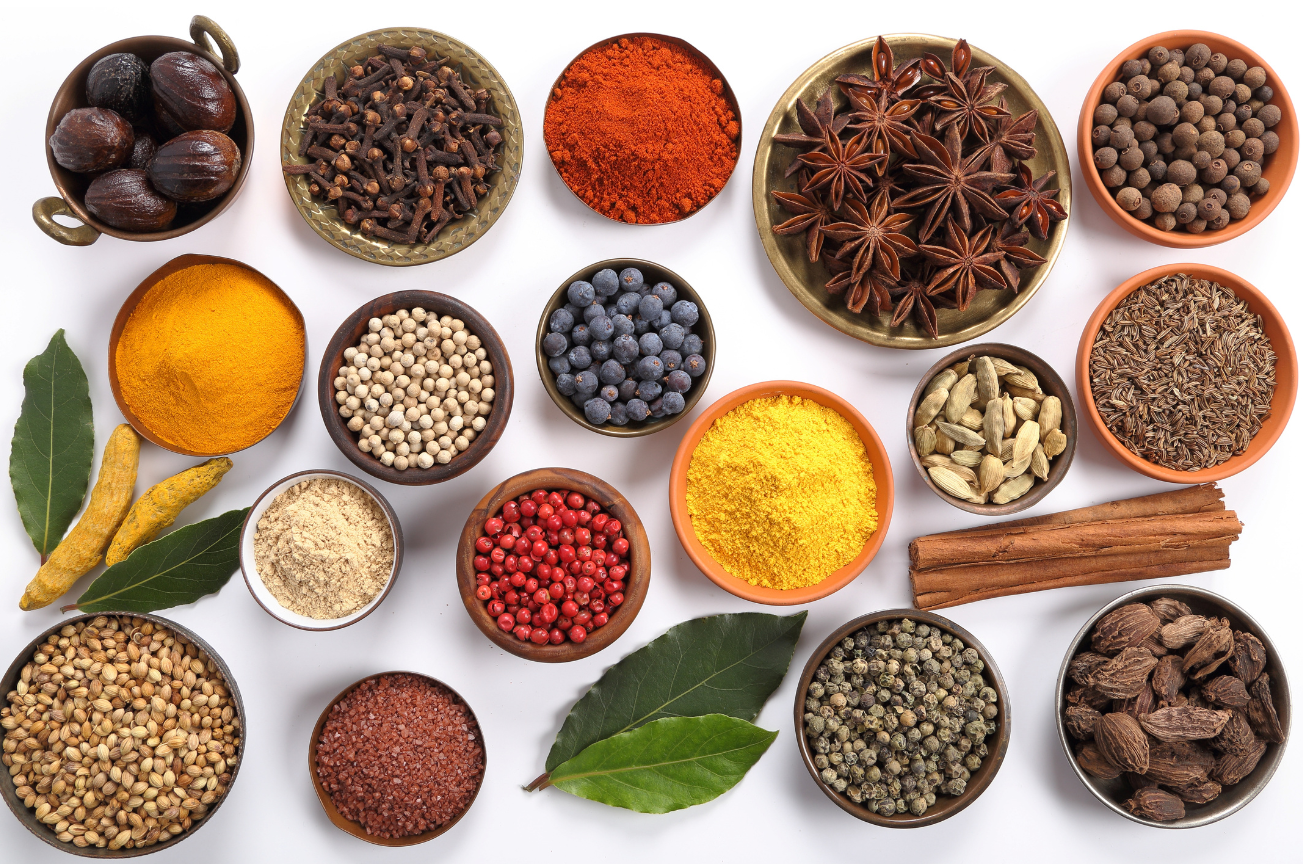 Conversations About Wellness – Plantiva Natural Supplements