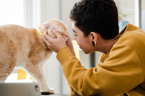 A woman with short hair wearing an ochre sweatshirt pets her cat.