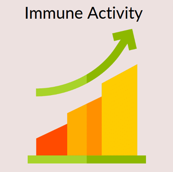 A bar chart shows that immune activity is increased compared to placebo