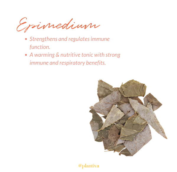 Epimedium leaves and their benefits