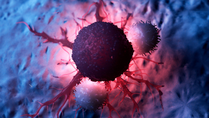 A photomicrograph shows a small T cell attacking a larger tumor cell.