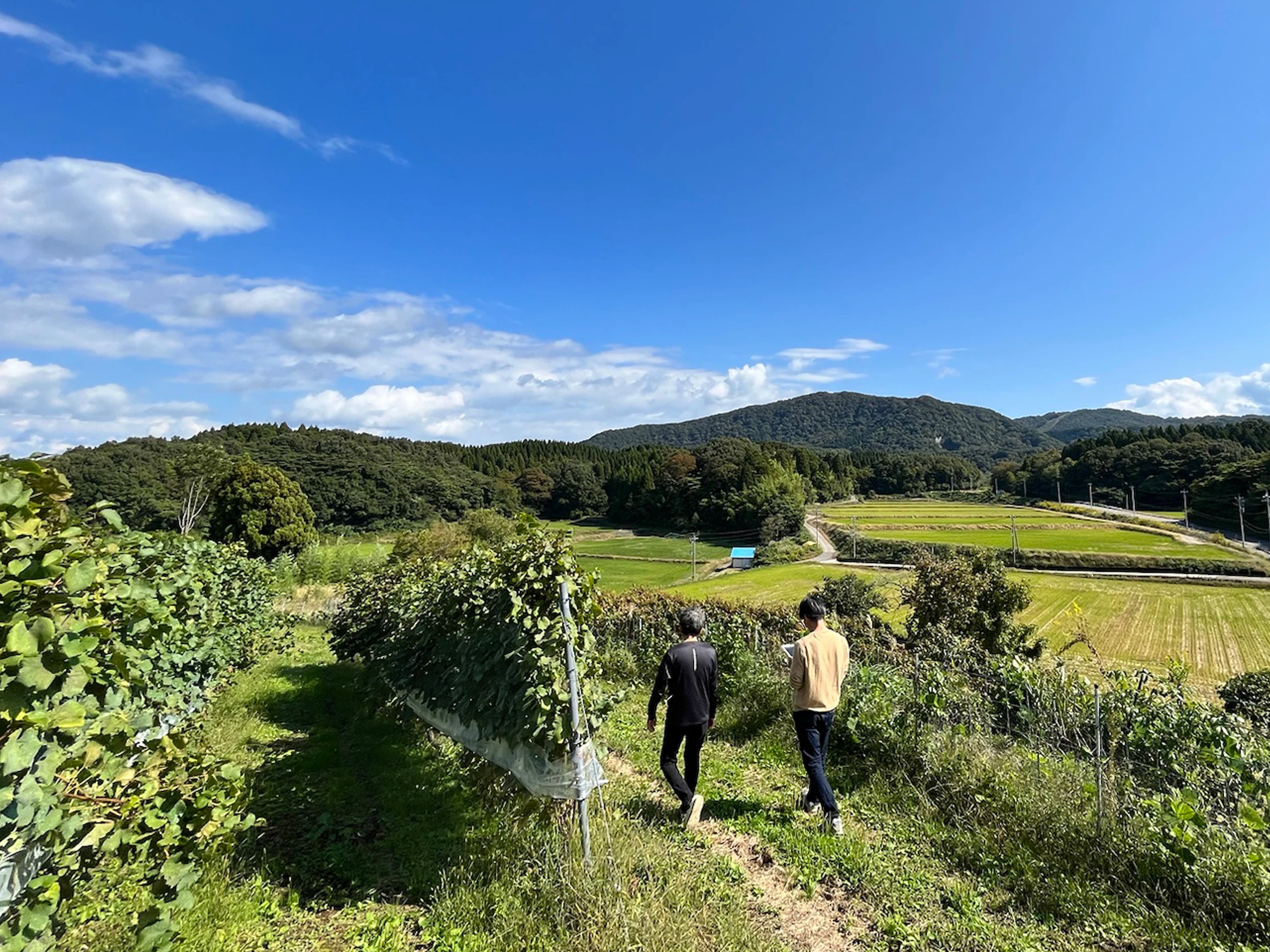 山忠本家酒造 Yamachuhonke