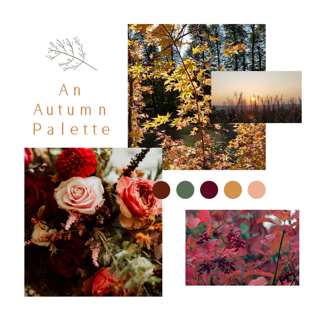 An autumne wedding colour paletter by Judith Brown Bridal