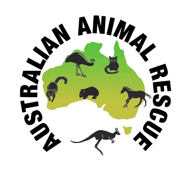 Australian Animal Rescue