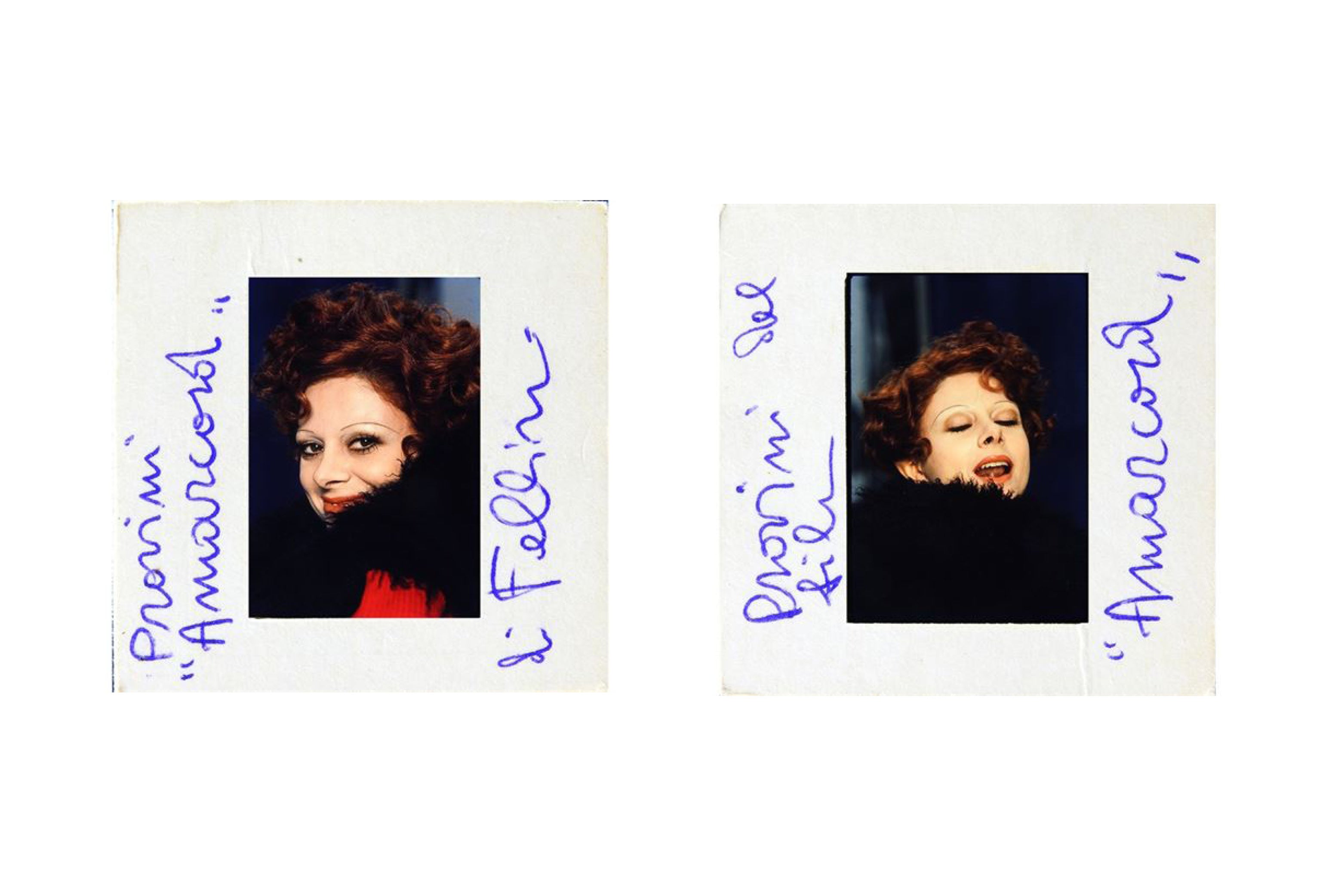 The rare polaroids of Sandra Milo's audition for the role of Gradisca in Federico Fellini's Amarcord, 1974.