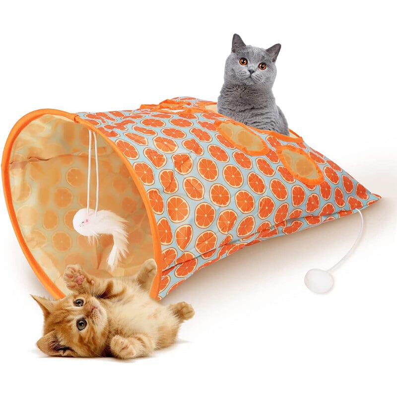 ?Cat Tunnel Bag