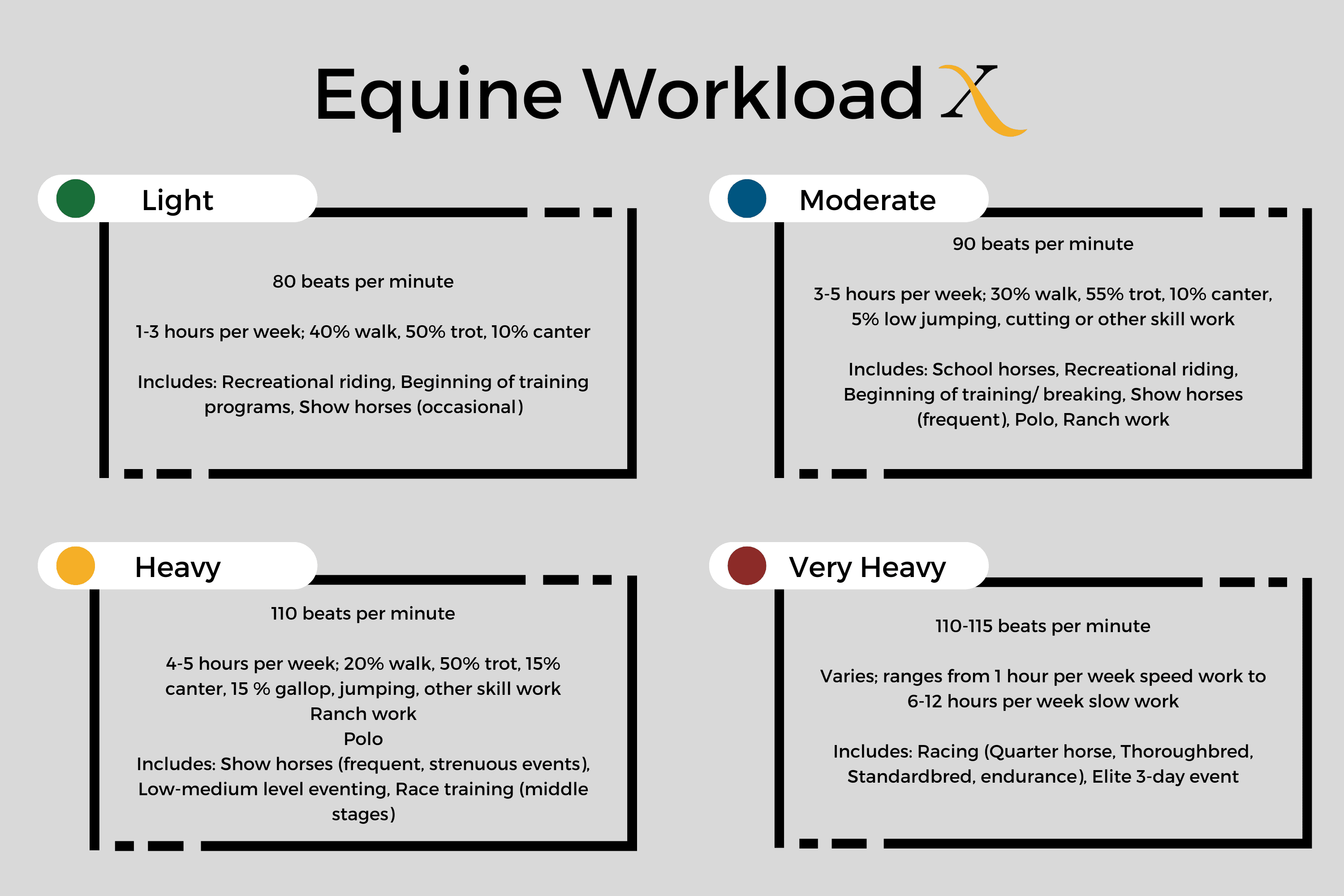 Equine Workload