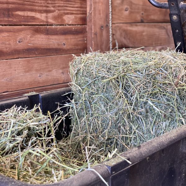 Importance of Hay Quality