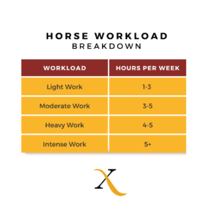 Horse Workload Breakdown