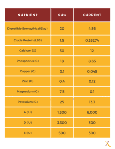 Example Diet Chart for Horse in Light Workload