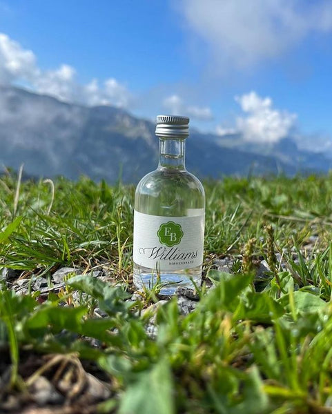 Wanderung vom Vorarlberg Guide Min Weag auf die Burgl Hütte in Hittisau, Williams Miniflasche auf grüner Wiese mit Blick auf die Berge.