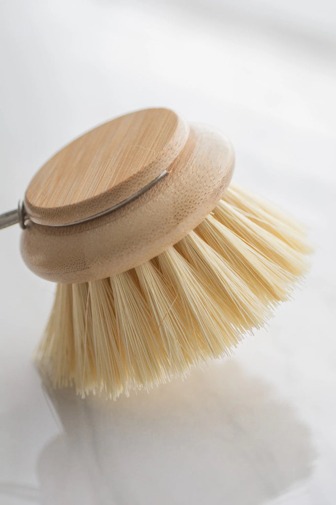 DISH BRUSH REPLACEMENT HEADS – The Market On The Square