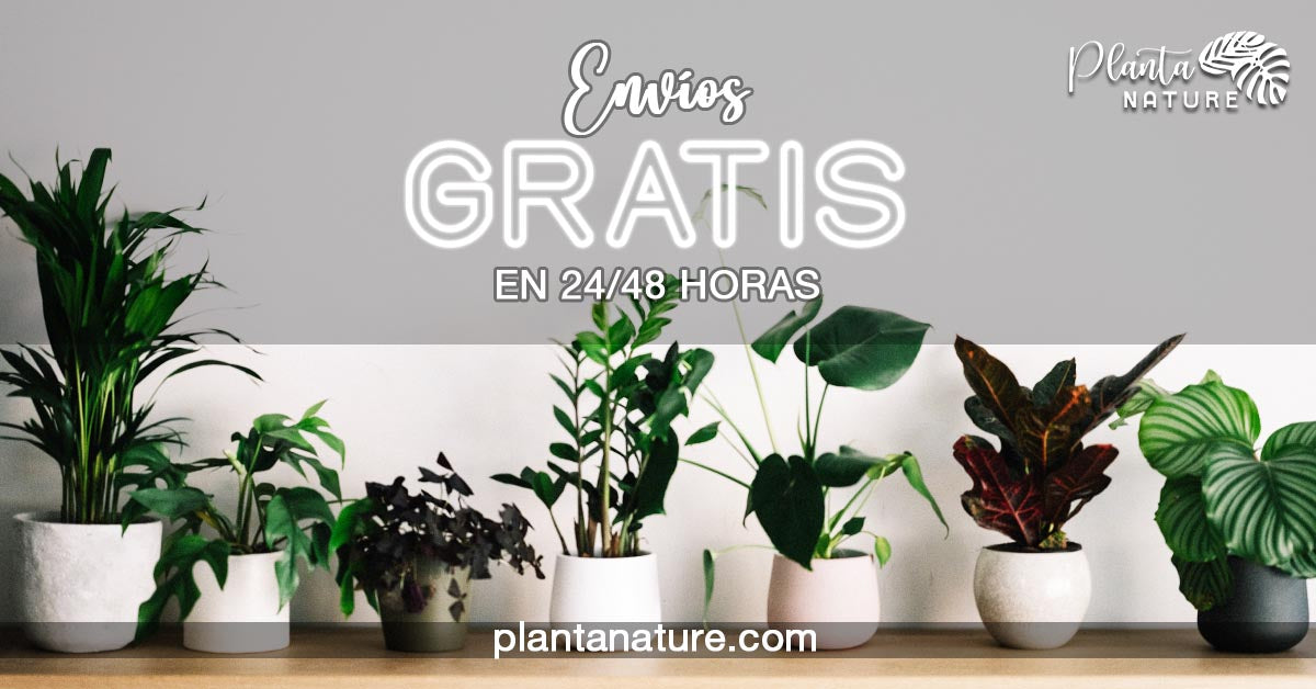 Planta Nature – PlantaNature