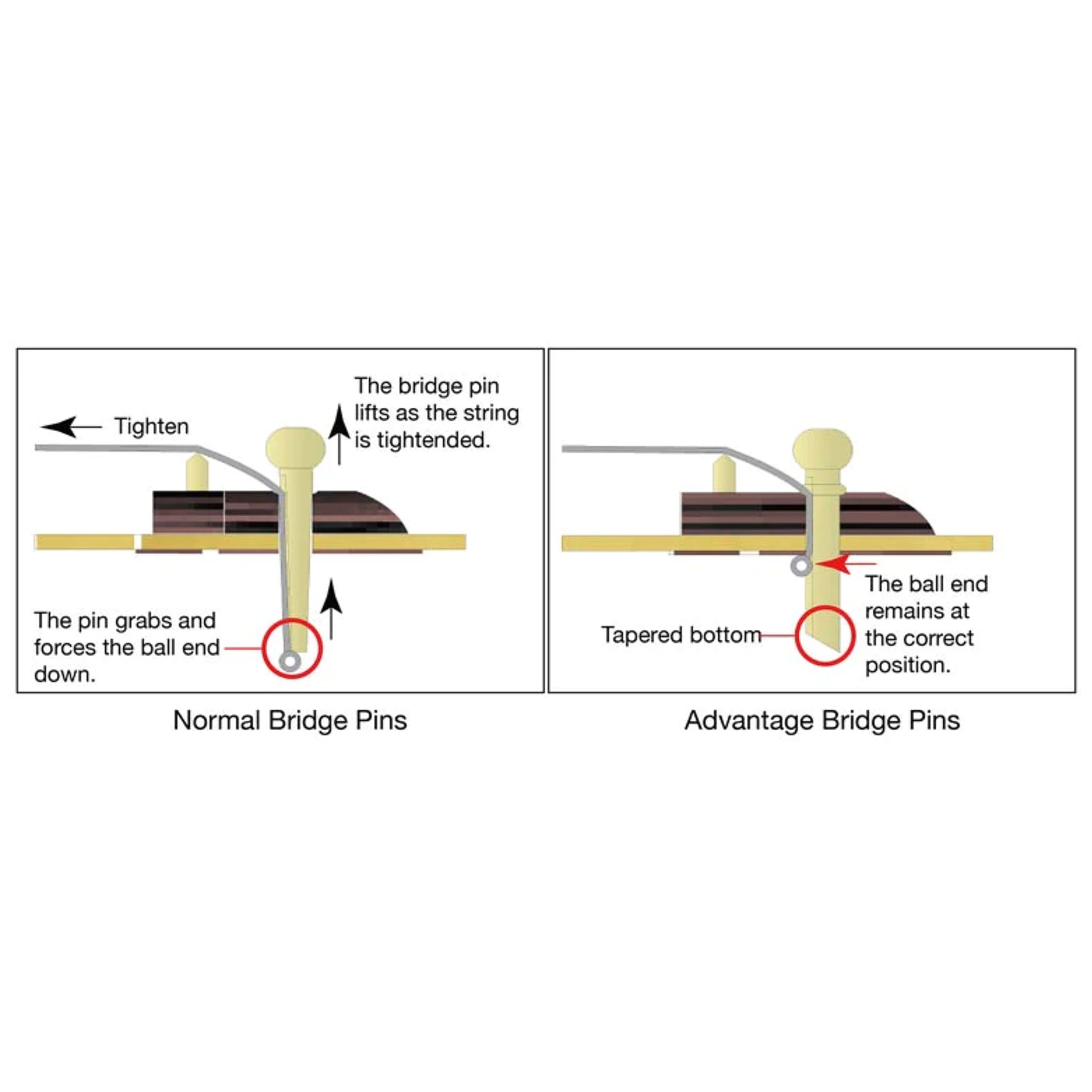 Ibanez Advantage Bridge Pins