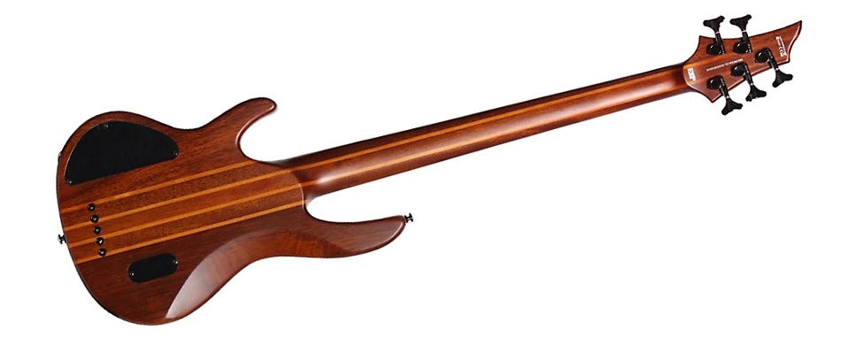 ESP LTD-5 5-String Bass 