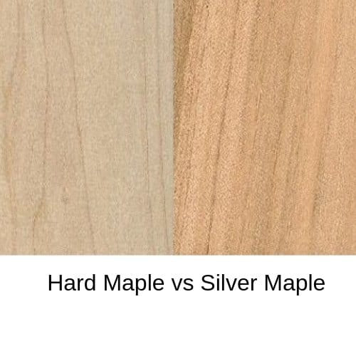 Hard maple vs. silver maple