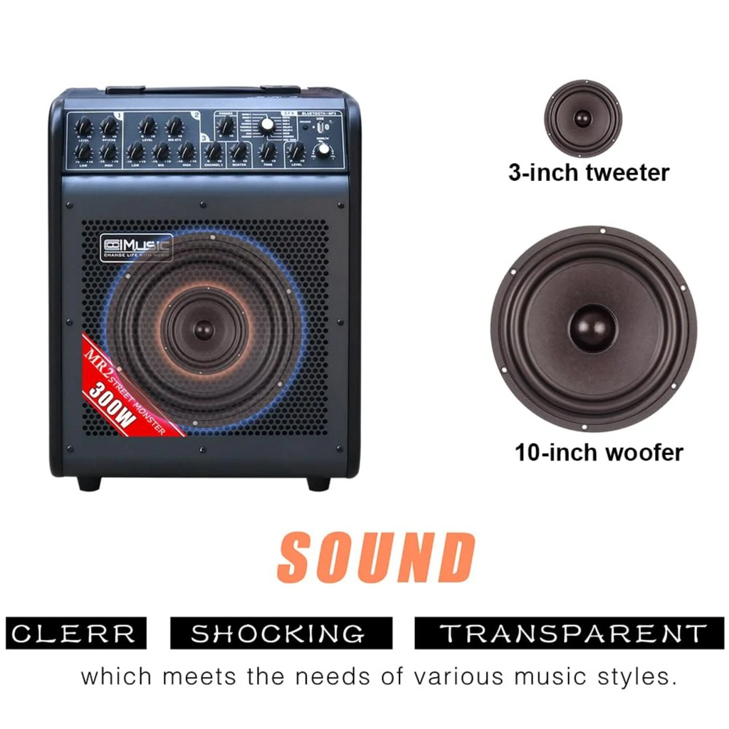 Equipped with 2 speakers, 3in tweeter and 10in woofer
