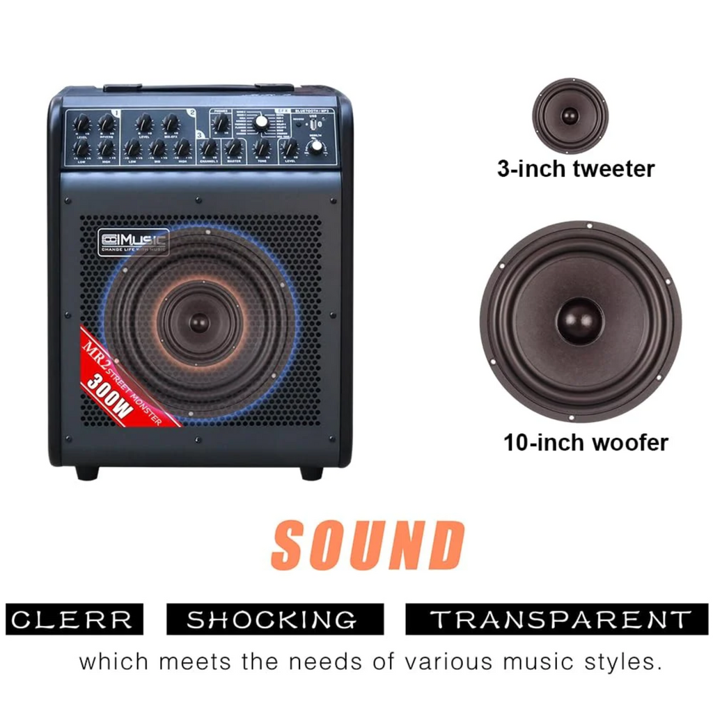 Trang bị 2 loa, 3in tweeter và 10in woofer