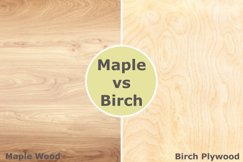 Birch và Maple được kết hợp cho vỏ trống Amory