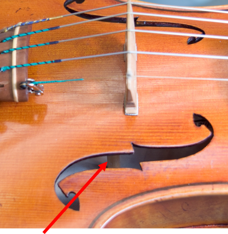 Năm Điều Bạn Chưa Biết Về Violin