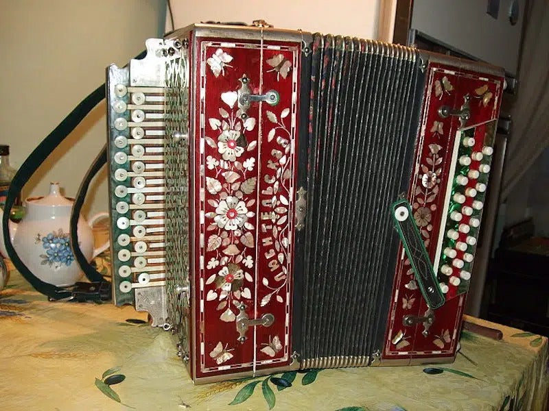 There Are Hybrid Accordions