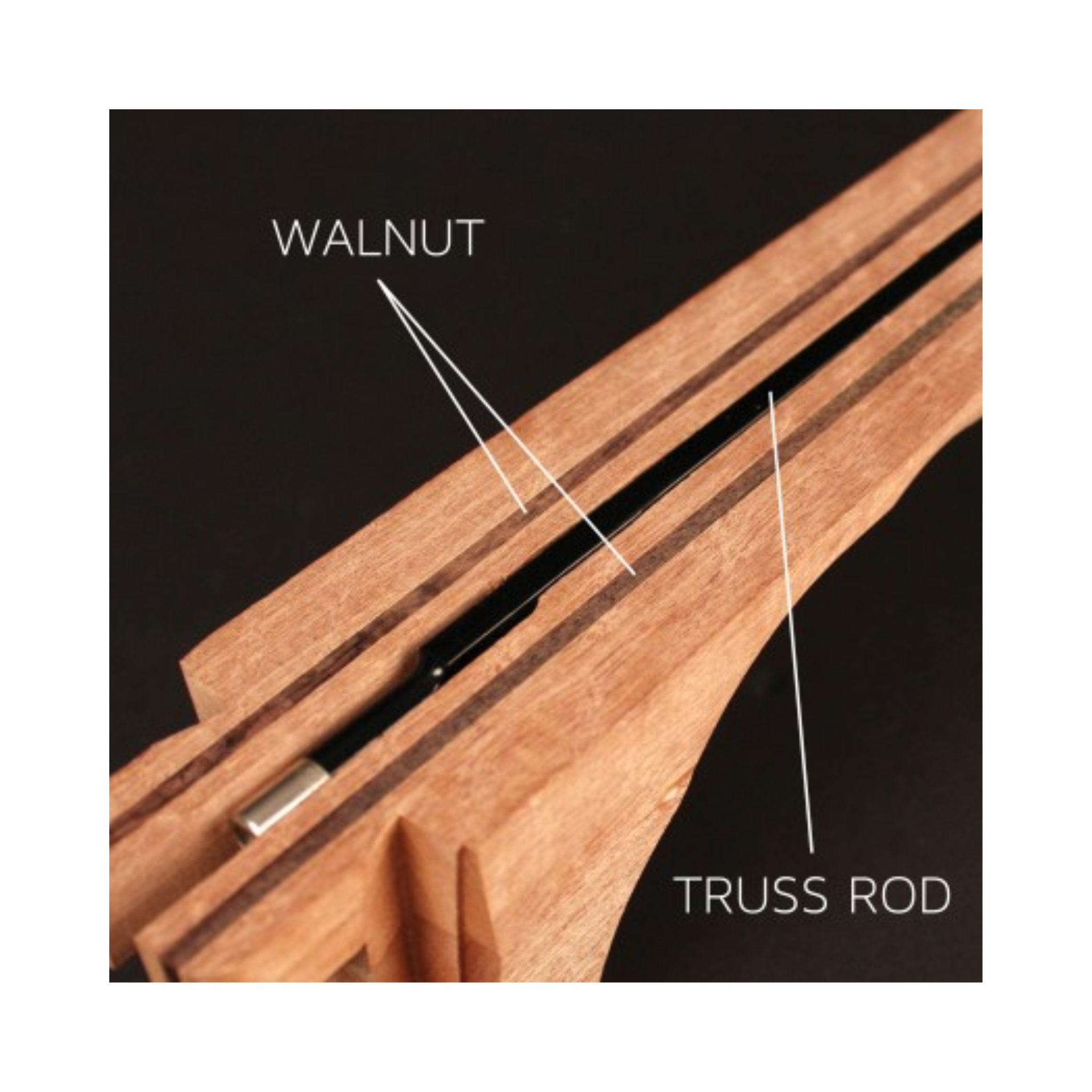 Cần đàn gỗ Walnut Reinforced