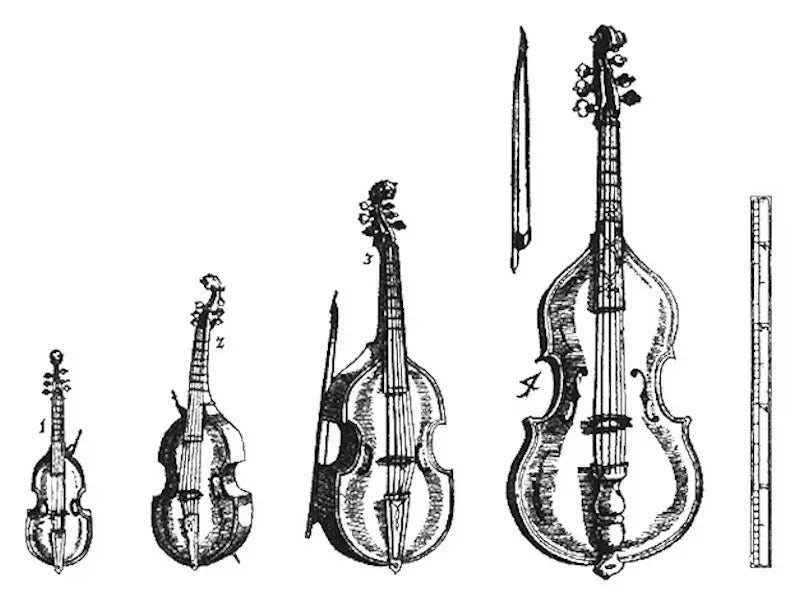 Viola da Gamba