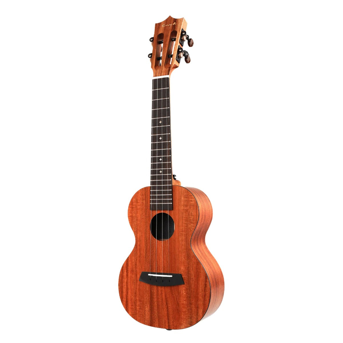 Best Concert Ukulele For Beginners