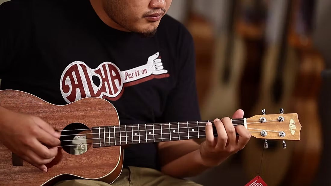 Top 5 Mẫu Đàn Ukulele Chất Lượng Cho Người Mới Học