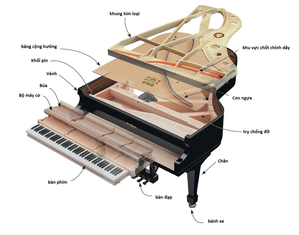 Should You Buy an Mechanical Piano or an Electric Piano?