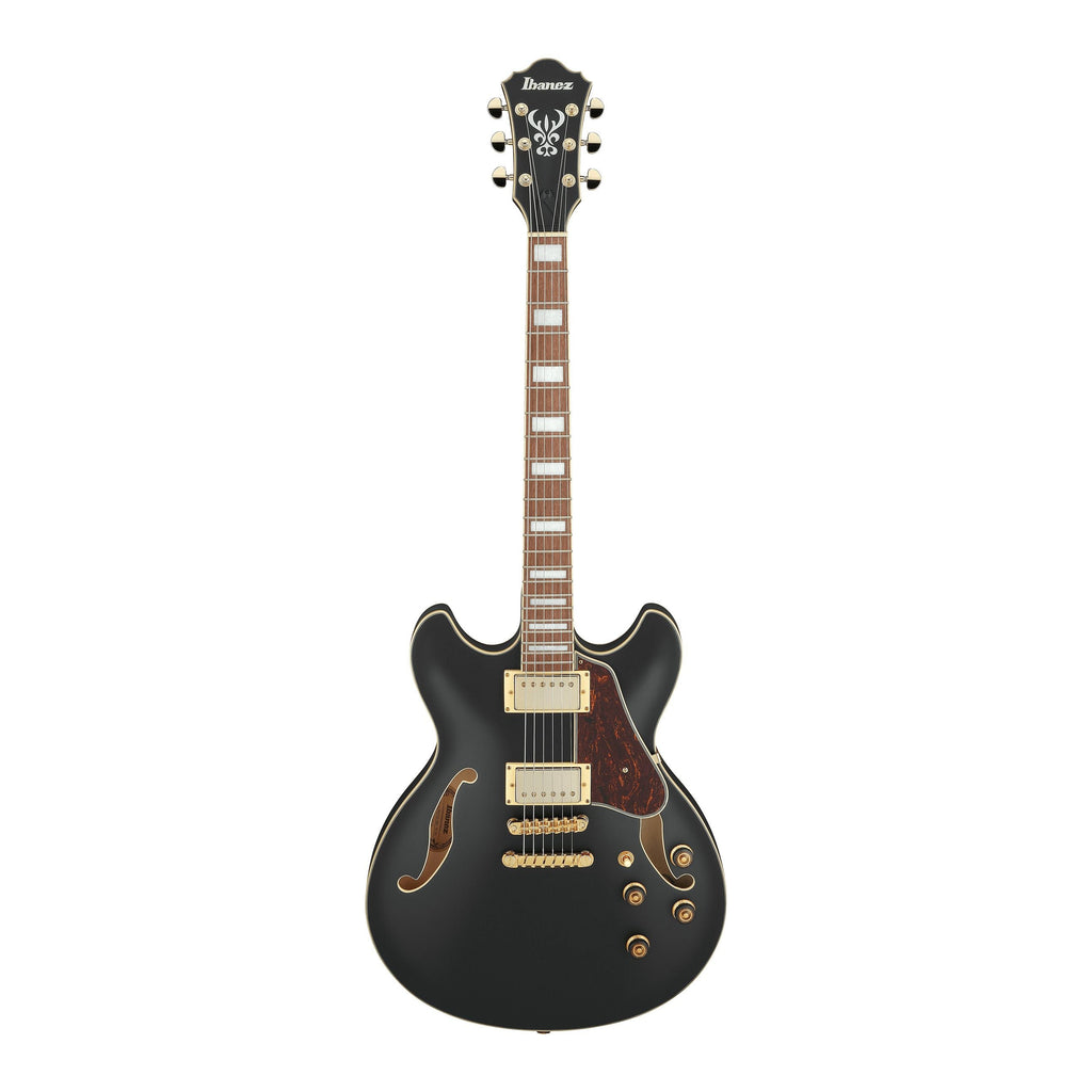 Ibanez AS73G Electric Guitar
