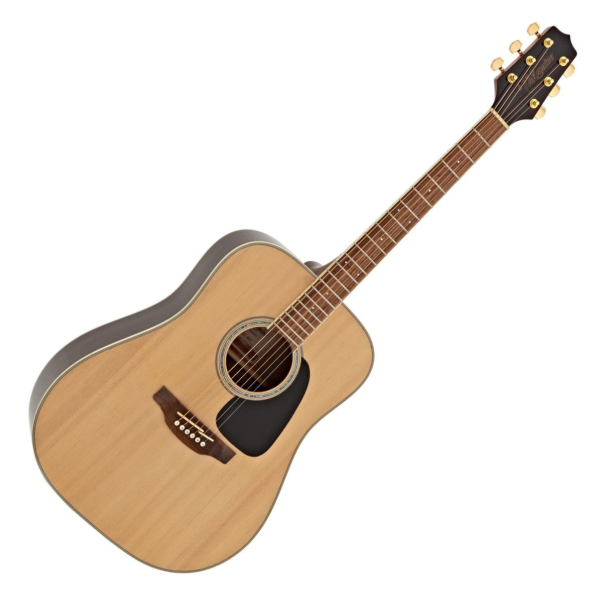 guitar takamine gd51