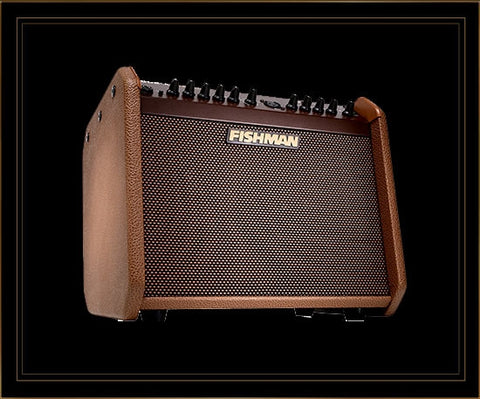Amplifier Fishman Loudbox Mini Charge tích hợp nhiều hiệu ứng