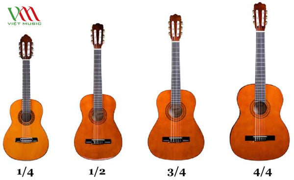 Kích Thước Đàn Guitar: Bạn muốn mua một cây đàn guitar mới nhưng chưa biết kích thước phù hợp? Hãy xem hình ảnh này để biết thêm thông tin về kích thước đàn guitar và tìm cho mình một cây đàn hoàn hảo nhất.