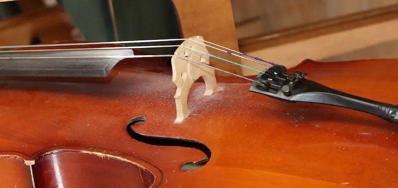 Vệ Sinh Nhựa Thông Violin