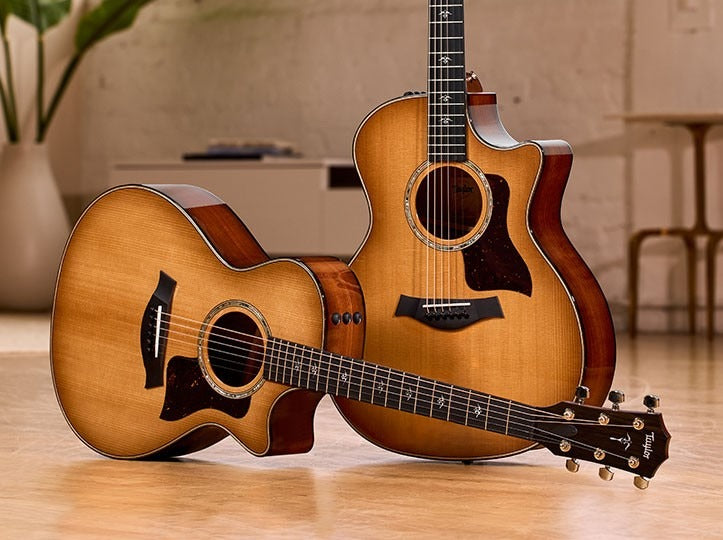 taylor-500-series-514ce-512ce-ne