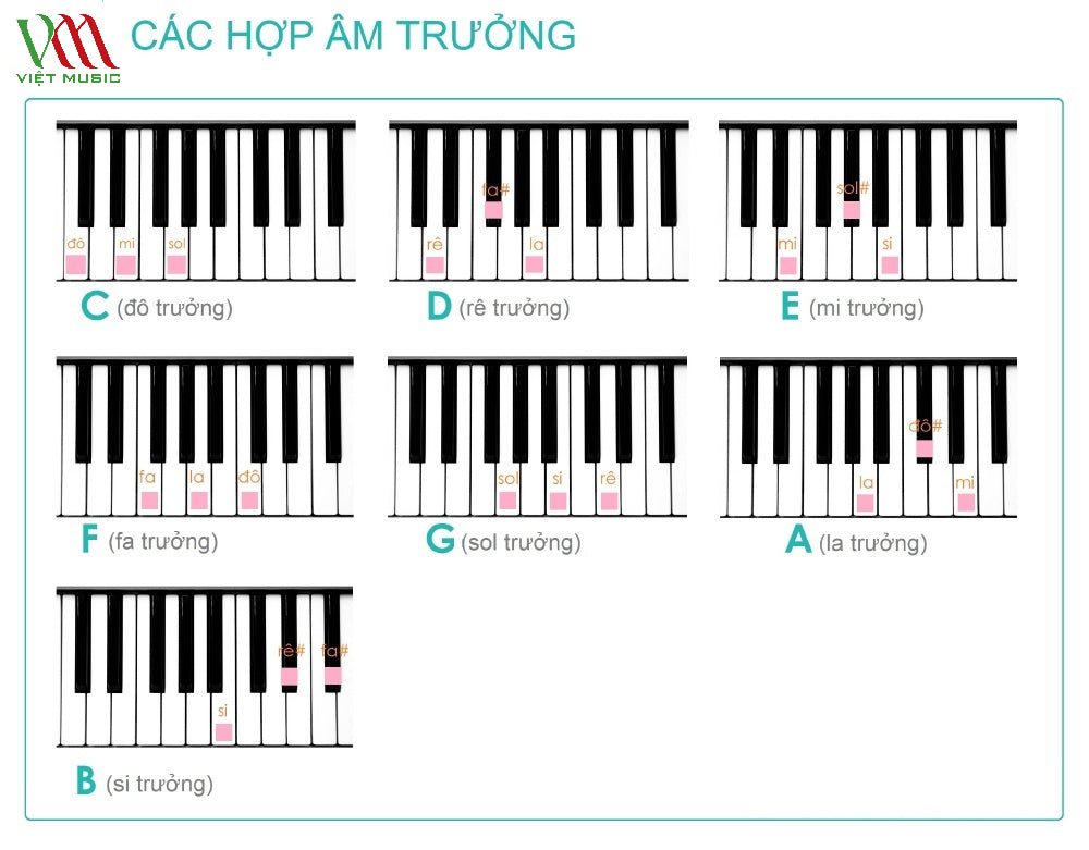 7 Bước Học Đàn Piano Cơ Bản Tại Nhà Cho Người Mới Bắt Đầu