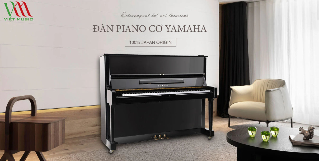 Giá Đàn Piano Bao Nhiêu Tiền?