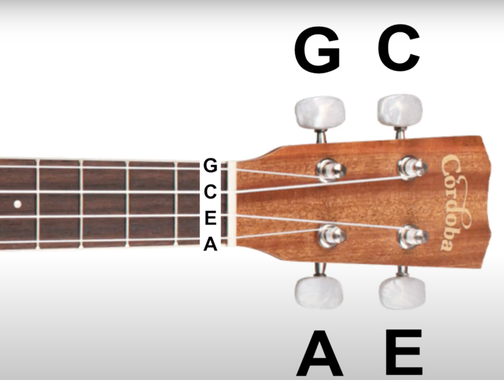 How to Choose a Ukulele