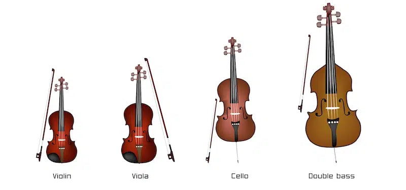 Viola Và Violin