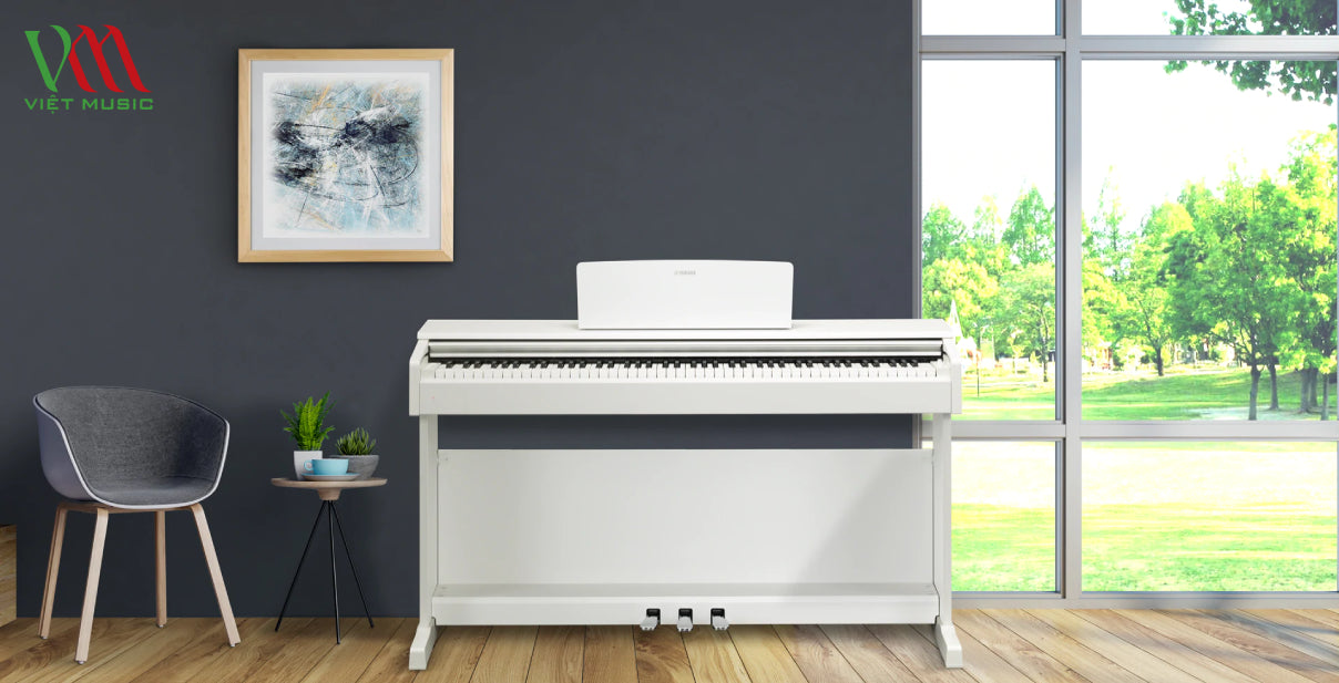 Cửa Hàng Bán Đàn Piano Giá Tốt Nhất Tại TPHCM