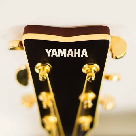 Yamaha guitar brand logo