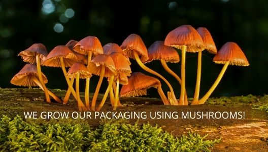 We grow our own packaging