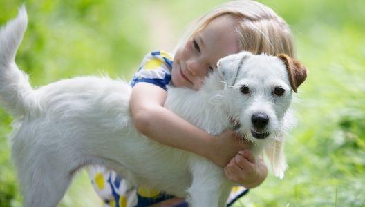 dog cuddling