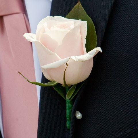 light pink boutonniere