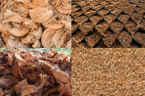 Coconut Coir