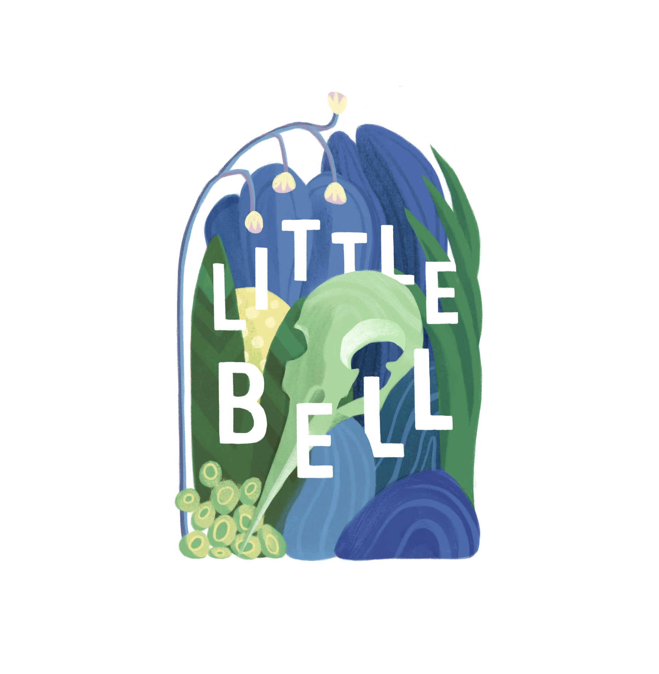 littlebelloddities