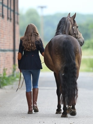 Lodenjacke Damen blau im Schnitt für Reitsport und Jagd. Ellenbogen Patches in okker. Hinten.