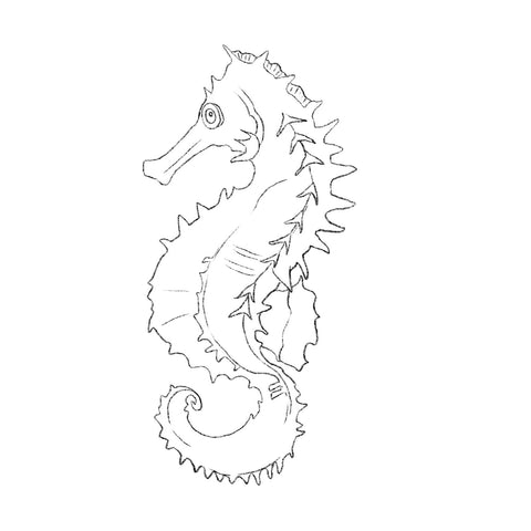 Outline the seahorse carefully
