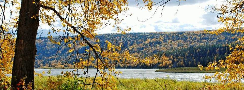 Many Islands Campground